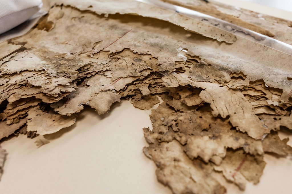 Mold and insect damage to the 1861 Constitution