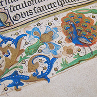 manuscript
