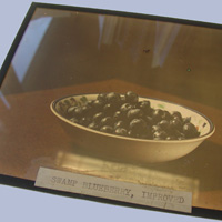 glass plate
