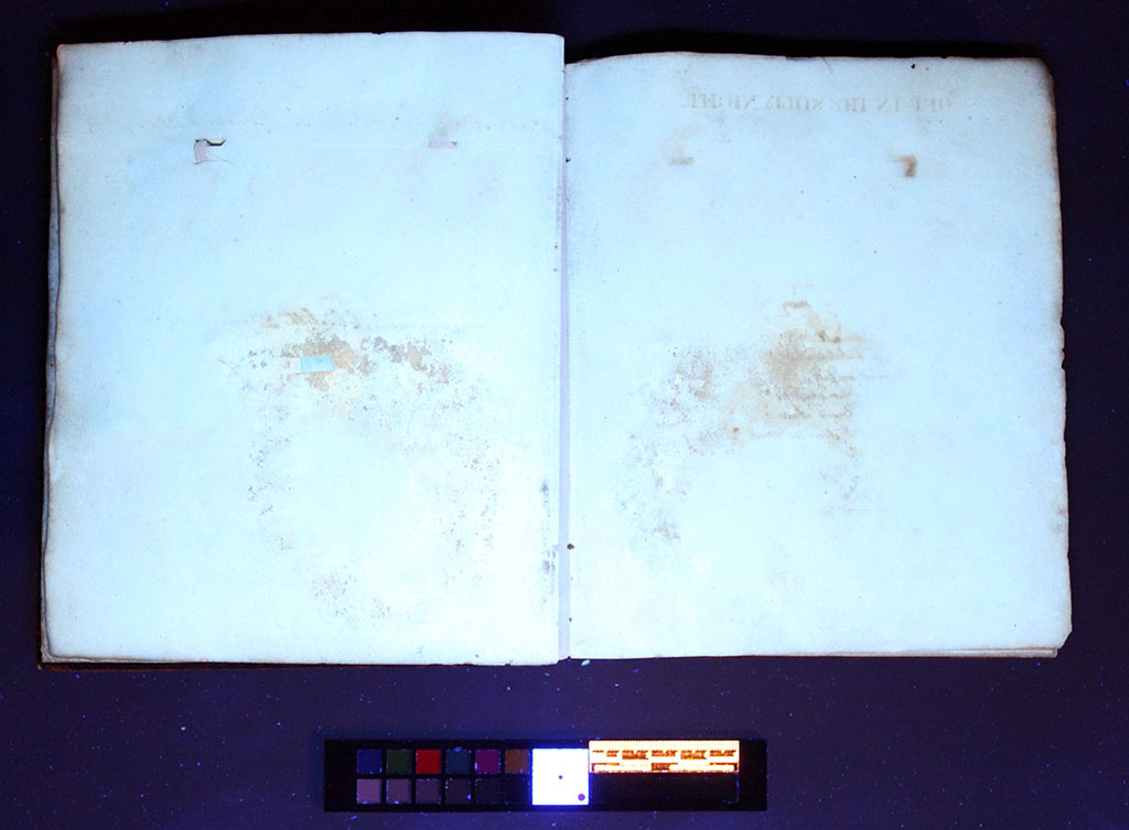 A mysterious white powder, shown here under UV light, was found on blank support leaves. It is likely that this powder is an insecticide based on the presence of hair in the album.