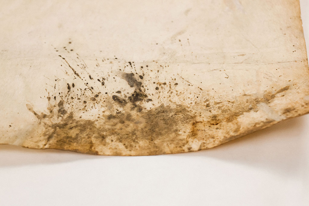 Example of local damage and stains on 1790 Constitutions