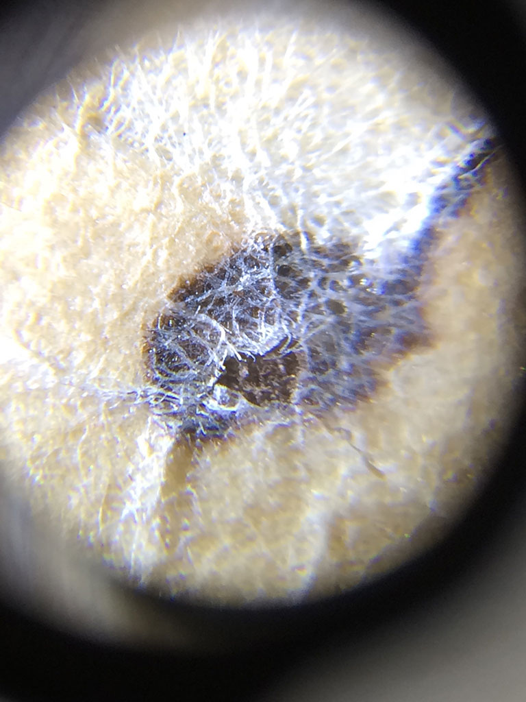 Barrow Lamination on the 1776 Constitution under magnification