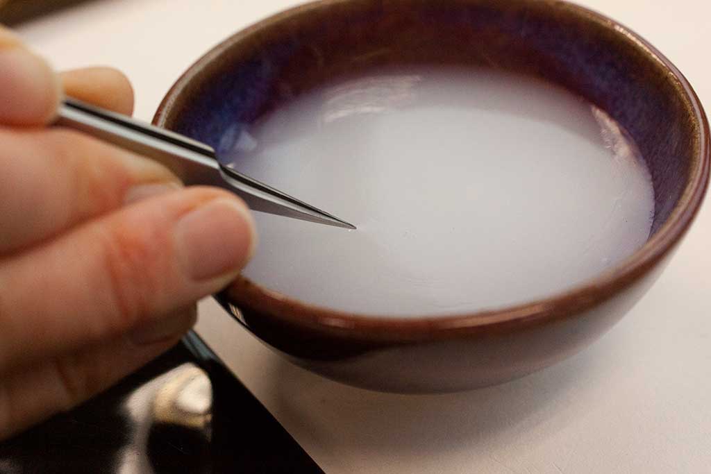 Dipping the kozo fiber into dry wheat starch paste