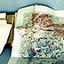 Fold-out maps often become brittle and tear at the folds.