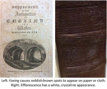 Left: Foxing causes reddish-brown spots to appear on paper or cloth. Right: Efflorescence has a white3, crystaline appearance.